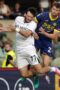 Napoli vs Hellas Verona Hasil Napoli vs Hellas Verona: Partenopei Menang Telak di Serie A 2026